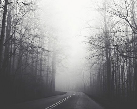 Пловдивчанин с БМВ е блъснал мъжа край Пазарджик