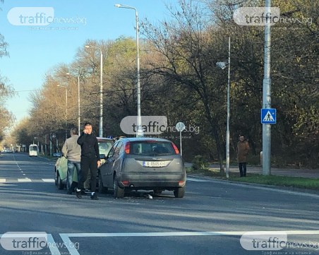 Три коли се нанизаха край Лаута