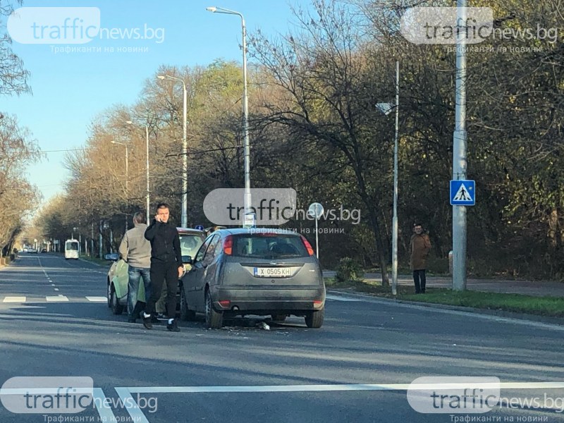 Три коли се нанизаха край Лаута