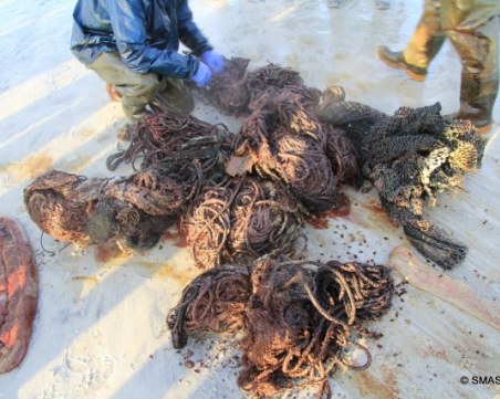 Откриха 100 кг боклук в стомаха на мъртъв кит