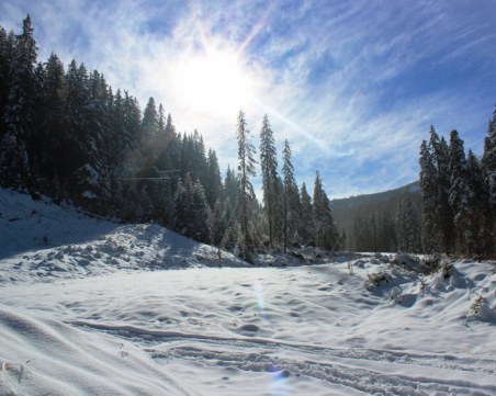 Снегът дойде! Шофьорите да внимават за поледица