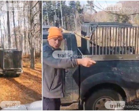 Ловци или бракониери? Какво се случва над Дорково?