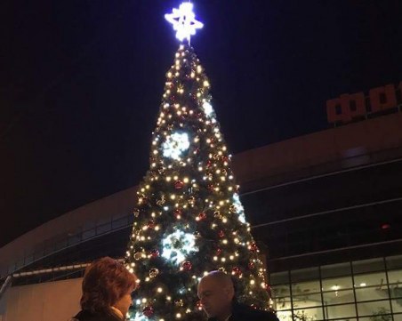 Коледната елха в Тракия грейва утре