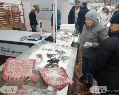 От шаран до калкан пред банята в София, продават прясна риба до Никулден