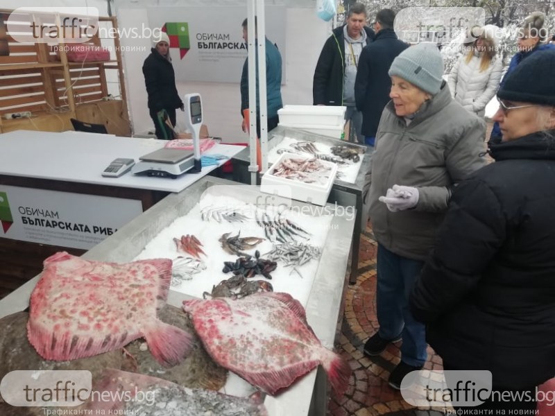 От шаран до калкан пред банята в София, продават прясна риба до Никулден