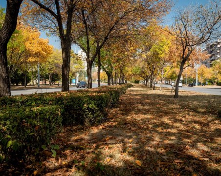 Къде да отидем в четвъртък под тепетата?