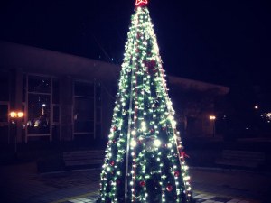 Красива елха светна в сърцето на спа столицата Хисаря
