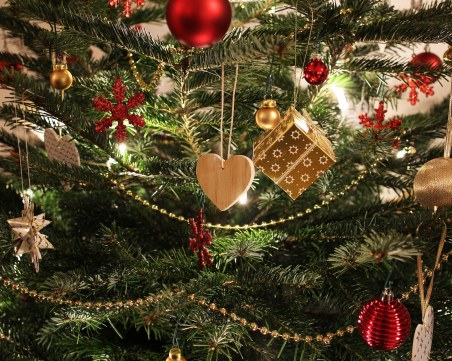 5 лв. от всяка елха отиват при бездетни двойки