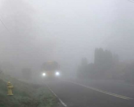 Код жълто за опасна мъгла в Пловдив, София и още 11 области