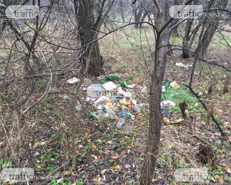 Листата опадаха - сметищата се показаха! Един от дробовете на Пловдив отново е залят с боклук