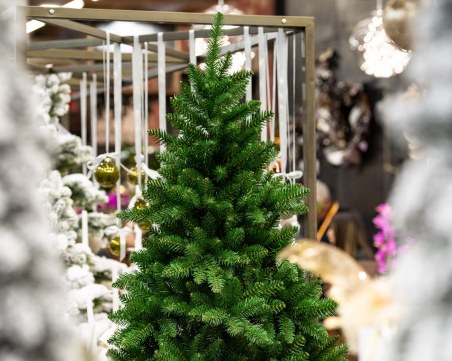 Около 100 лева отделят българите за декоративни коледни елхи