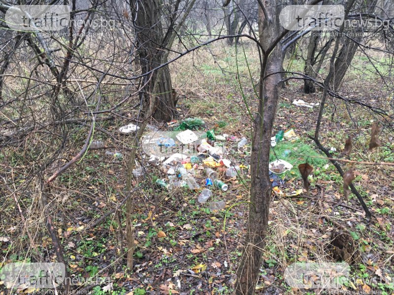 Листата опадаха - сметищата се показаха! Един от дробовете на Пловдив отново е залят с боклук