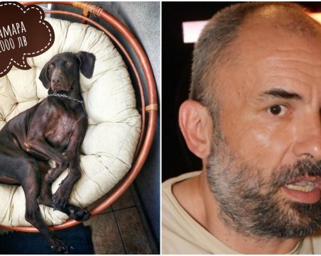 Спенс търси кучето си, дава 1000 лева награда