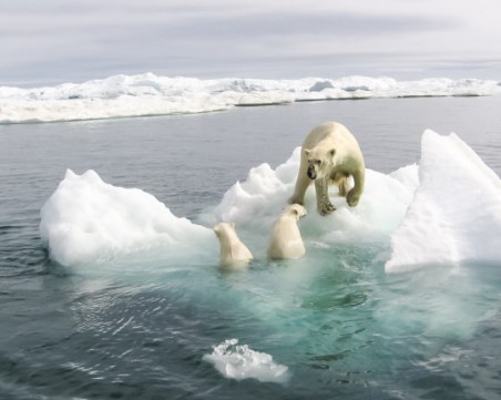 Арктика изпраща втората най-топла година от век насам