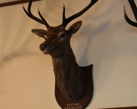 Ето какво показа проверката на МВР и Агенцията по горите в Двореца Кричим