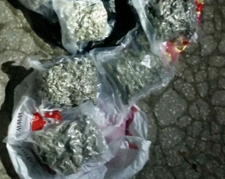 Спец акция в Пловдив: Полицаи иззеха 4 кг марихуана при претърсване на БМВ