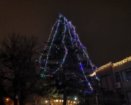 Запалиха светлините на естествената коледна елха в 