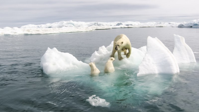 Арктика изпраща втората най-топла година от век насам