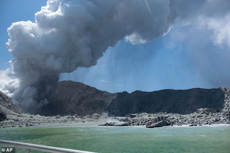 Нова Зеландия поръча кожа от САЩ за пострадалите от вулкана