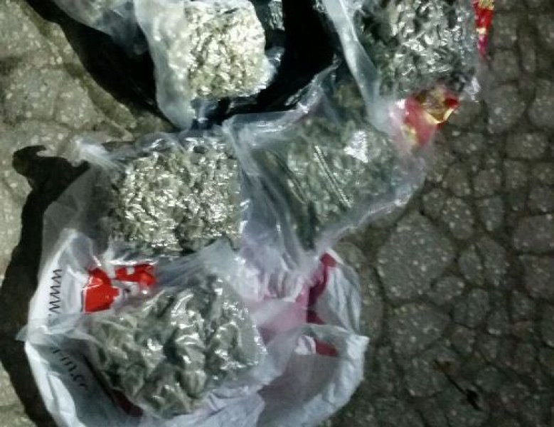 Спец акция в Пловдив: Полицаи иззеха 4 кг марихуана при претърсване на БМВ