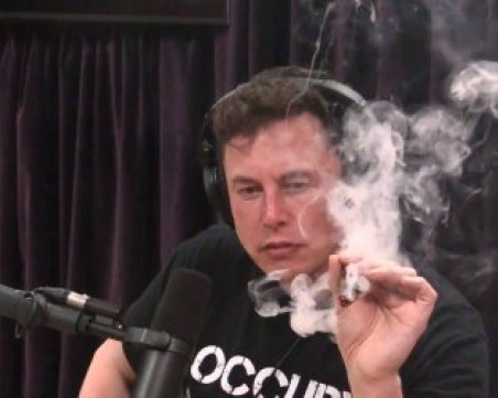 Илън Мъск праща канабис в... космоса