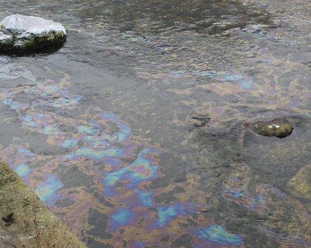 Мазни петна плуват по река Въча край Кричим