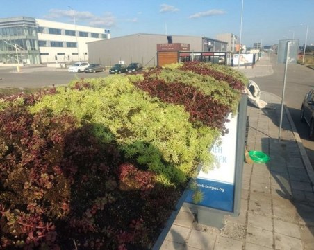 Автобусни спирки в Бургас с градинки на покрива, пречистват въздуха