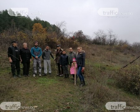 Медоносни дръвчета засадиха край Пловдив