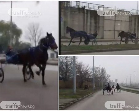 Бързи, яростни и много опасни! Роми си правят кушии на пловдивски булевард
