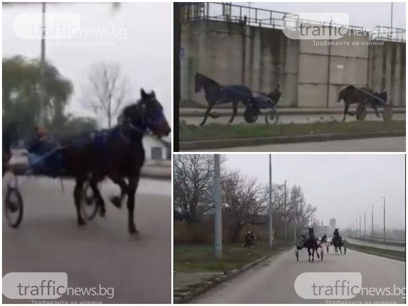 Бързи, яростни и много опасни! Роми си правят кушии на пловдивски булевард