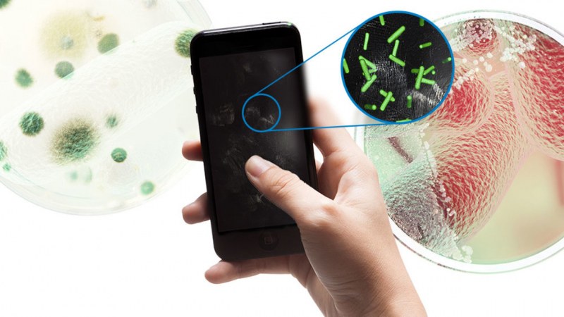 Какви микроби живеят върху мобилния ни телефон и колко са опасни те?