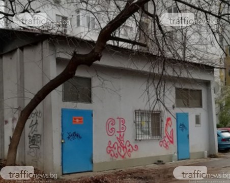 Опасно дърво е надвиснало над главите на пловдивчани, всеки момент ще се сгромоли