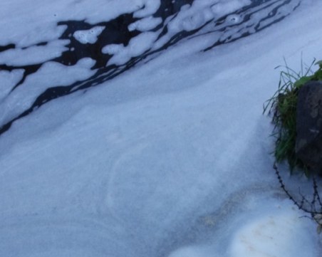 Стана ясно кой е замърсил водите на река Искър