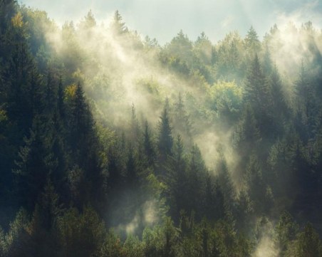 Намериха изчезналия турист! Загубил се след скандал с приятелите си