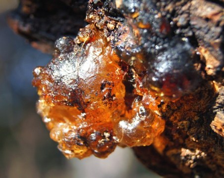 Учени откриха 