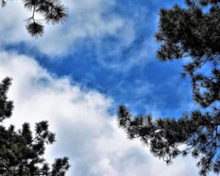 Жега през декември - живакът ще подгони 20 градуса днес