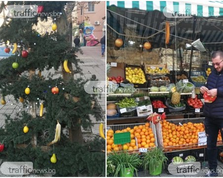 Елха с нестандартна украса се появи на улица в Пловдив