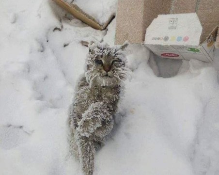 Аз вчера умрях, знаете ли? Пловдивчанка призова хората за повече доброта с емоционален текст