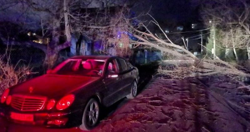 Ураганен вятър връхлетя София, има паднали жици и дървета