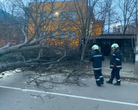 Бурен вятър остави без ток част от Врачанска област