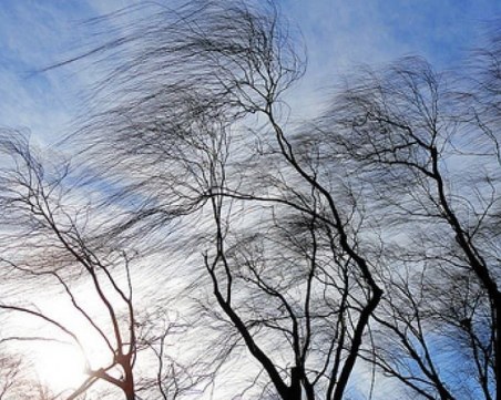 На Бъдни вечер: Жълт код за опасен вятър в почти цяла България