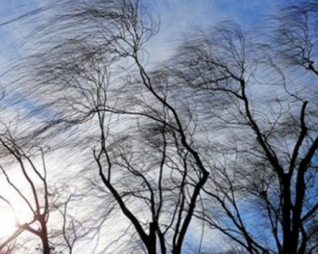 Вятърът продължава и днес, носи студ и дъжд