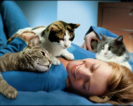 Мъркащата котка помага за здавето ни, ето как