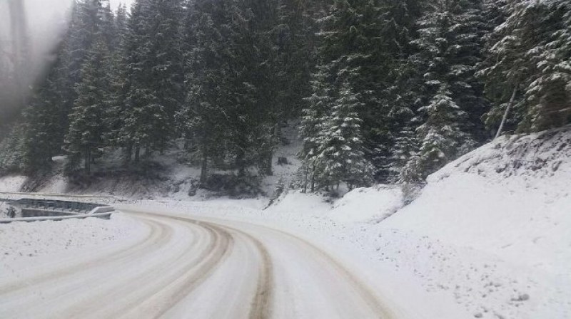 Обилен сняг на пътя Батак - Доспат, въведоха ограничения