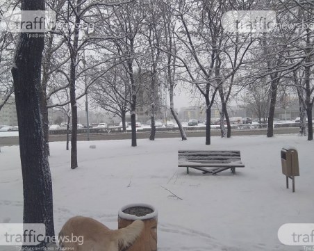 Сняг в последния ден на Коледа? В някои части на страната ще ги зарадва