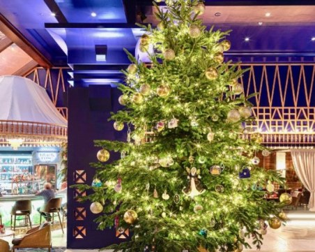 Вижте най-скъпата елха в света, струва цели 15 милиона!