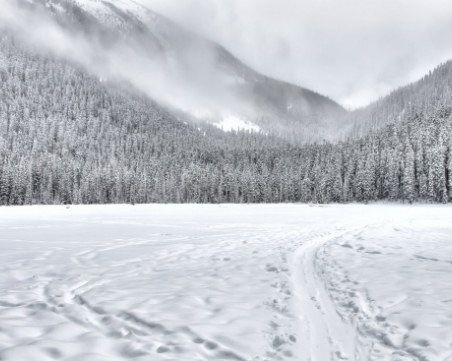 Удивителни факти за снега, за които не сте предполагали
