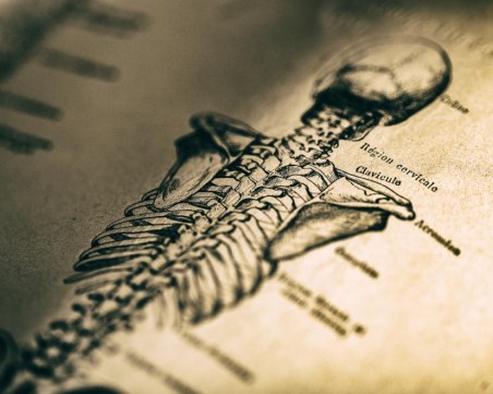 Вижте 8 части на тялото, които вече са 