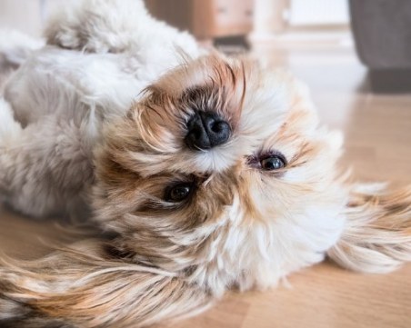 Вижте какви психологически проблеми изваха хаоса в дома ви