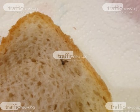 Предновогодишно: Пловдивчанин намери муха в хляба си